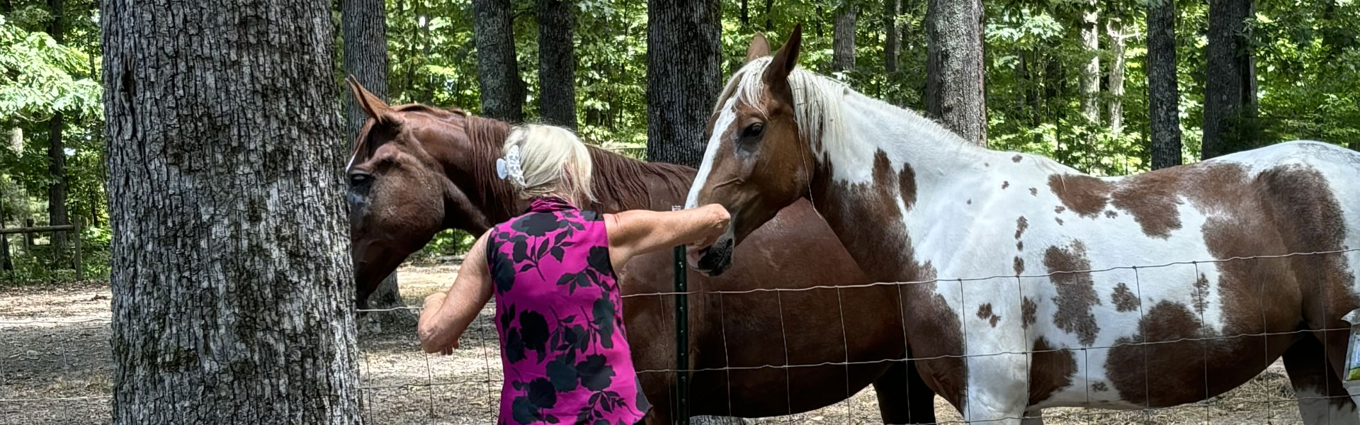 INTENSIVE - Healing Healers Through Horses Session 1